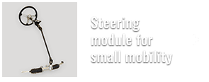 Steering module for small mobility